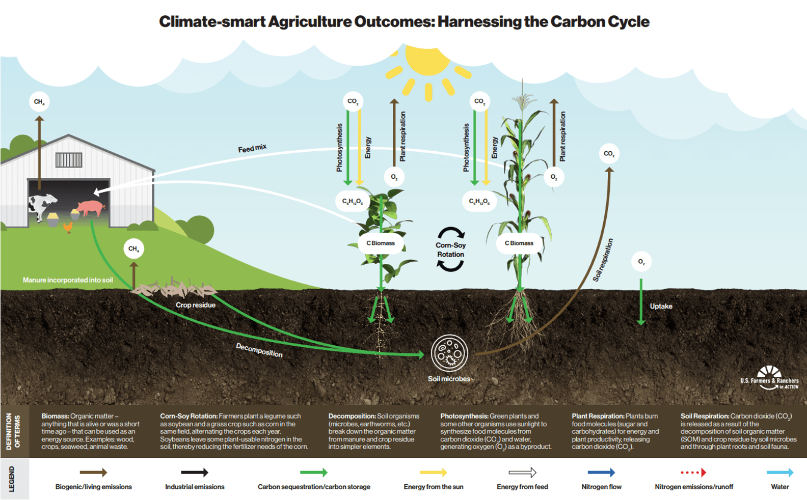 Graphic depicting the pathways of carbon exchange between livestock, crop residue, soil, crops, and atmosphere.