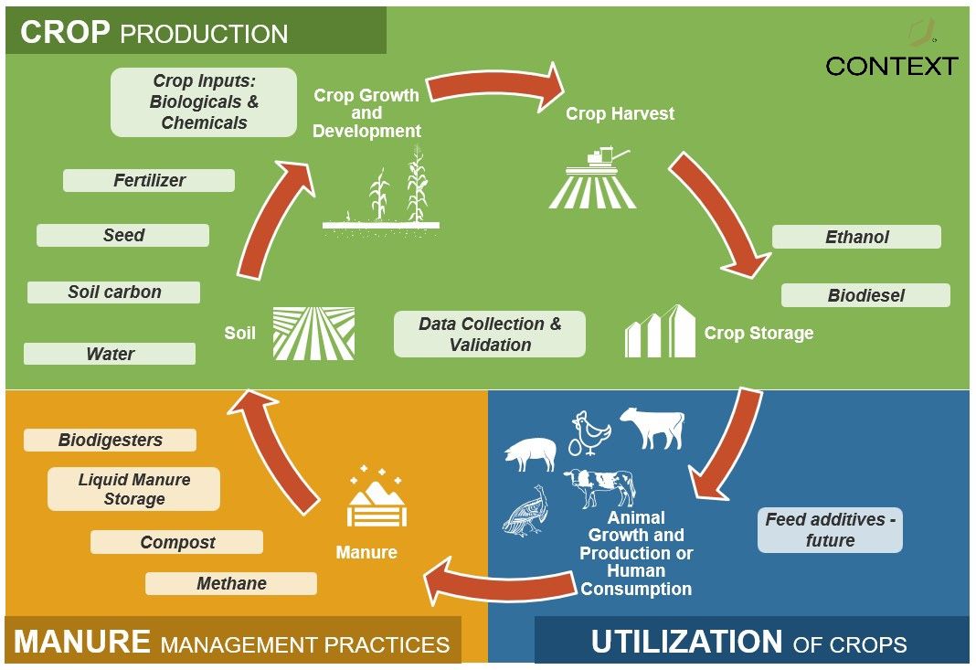 Graphic depicting a circular flow of materials within the categories of crop production, manure management, and crop utilization.