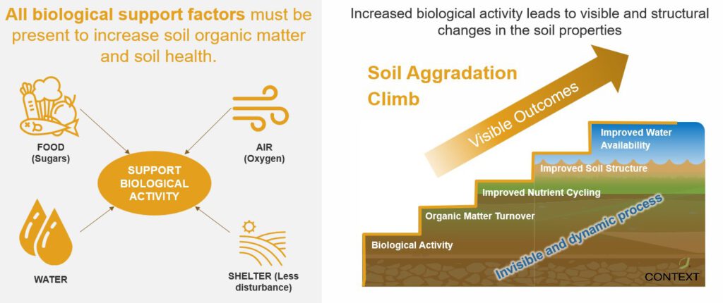 Graphic showing how food, water, air, and shelter support biological activity, and that increased biological activity leads to improved soil properties.