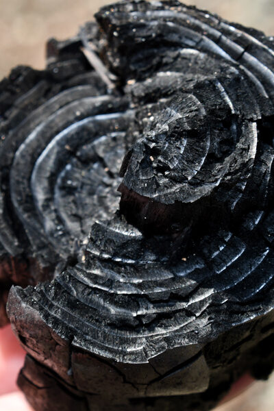 Which new technologies could impact carbon and ecosystem markets?