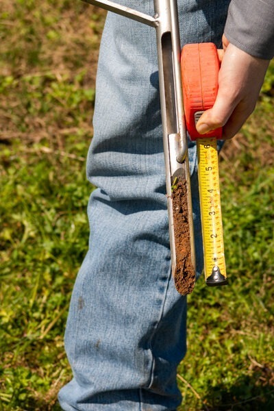 How should you collect soil samples to calculate carbon stock?