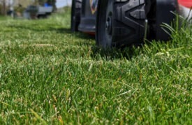 How can I reduce turfgrass fertilization, mowing, irrigation, and pesticide use?