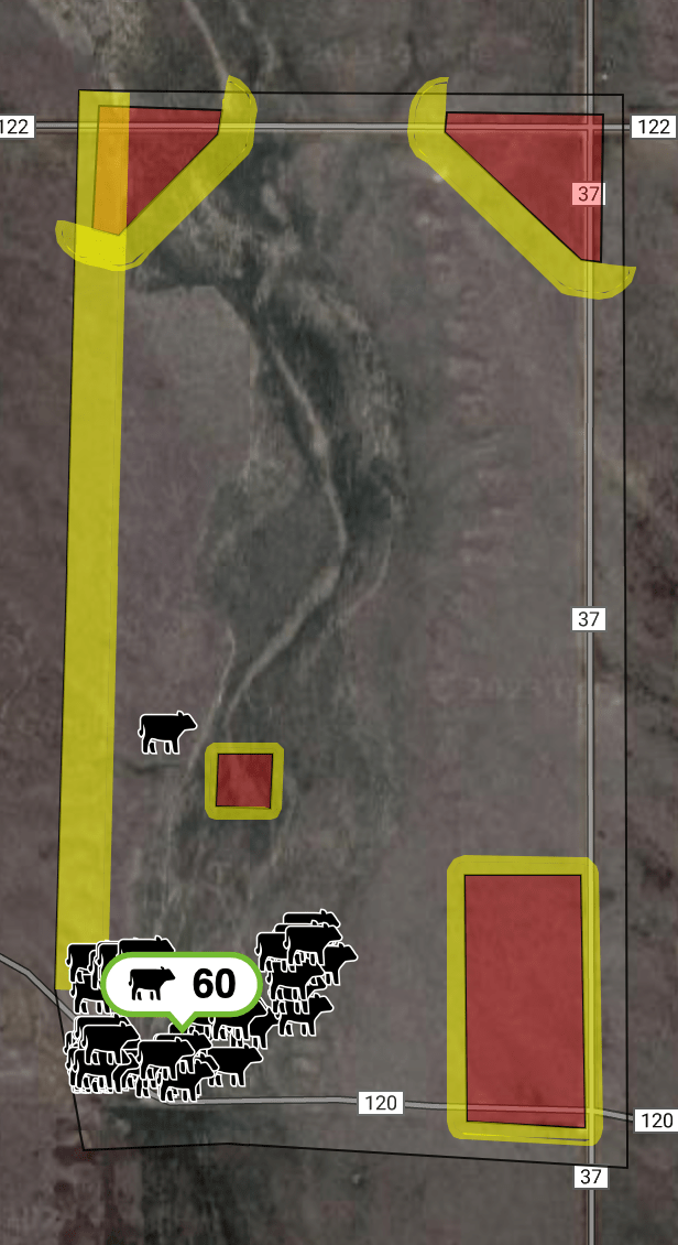A screenshot of the software used to manage the Vence virtual fence. The image shows one large, rectangular virtual fence that contains the cattle, with smaller areas within the larger box fenced off virtually to prevent cattle grazing those areas.