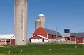 Understanding (& Reducing) Dairy Greenhouse Gas Emissions