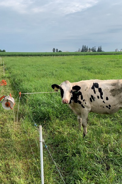 Can Cover Crops & No-Till Reduce Dairy Greenhouse Gas Emissions?