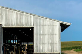 How Does Dairy Ration Protein Impact Manure Nitrates & Farm Greenhouse Gas Emissions?