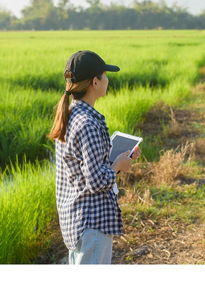 A person holding notes looks out over a green field
