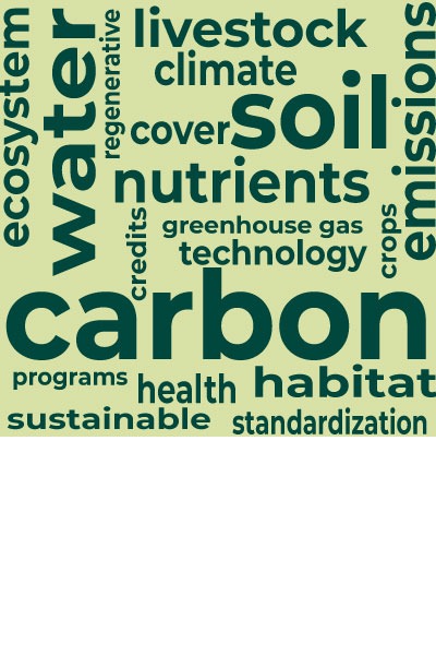 Word cloud with carbon at center, surrounded by related topics