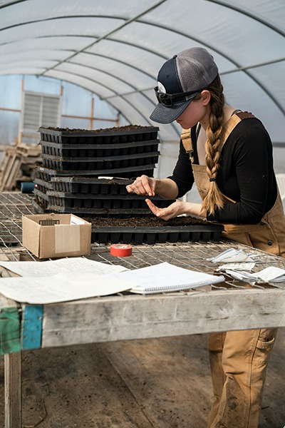 A person plants seeds in a greenhouse study.